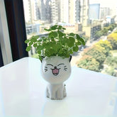 Mimos De Vasos Decoração cerâmica  Gatinhos
