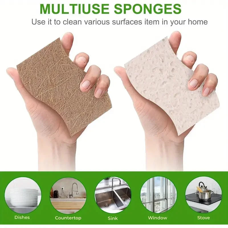 Esponja de Louça Ecológica Biodegradável Premium EcoFofo