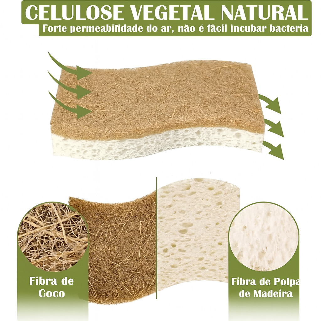 Esponja de Louça Ecológica Biodegradável Premium EcoFofo