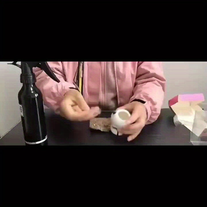 Mimos De Vasos Decoração cerâmica  Gatinhos