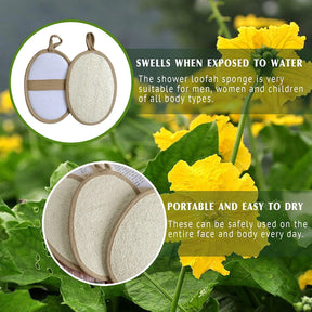 Esponja Esfoliante Natural de Bucha Ecológica e Biodegradaevel